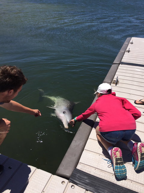 Whyalla Foreshore - Foster Accommodation 7