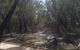 Banrock Station Wine & Wetlands Centre - thumb 3