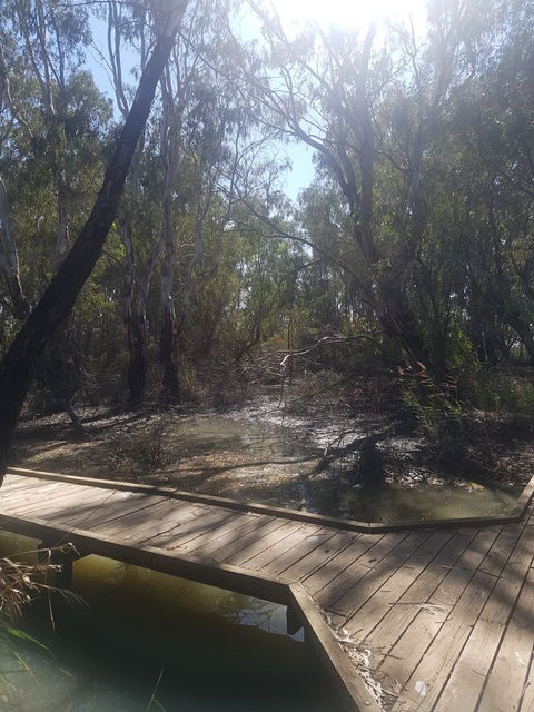 Banrock Station Wine & Wetlands Centre - Foster Accommodation 6