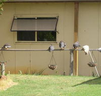 Sandy Grove - Foster Accommodation