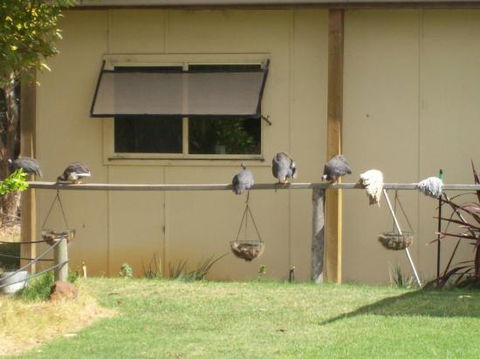 Sandy Grove - Foster Accommodation 0