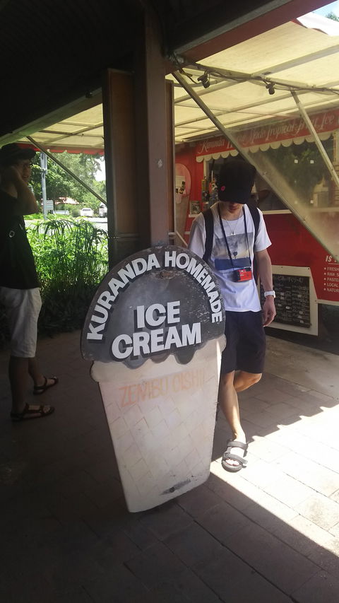 Kuranda Homemade Tropical Fruit Ice Cream - Foster Accommodation 5