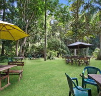 Rainforest - Foster Accommodation