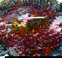 Red Chilli Sichuan Burwood - Foster Accommodation