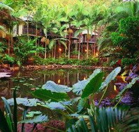 Daintree Eco Lodge  Spa - Foster Accommodation