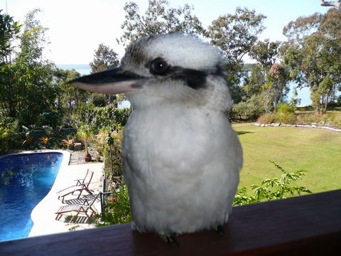Yarrandabbi Dreaming Boutique B&B - Foster Accommodation 2