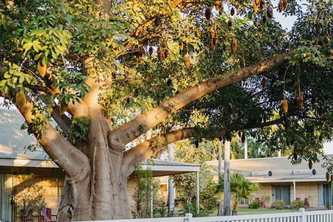 Kimberley Grande Resort & Conf Ctr - Foster Accommodation 0