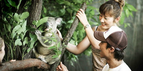 Pullman Reef Hotel Casino - Foster Accommodation 14