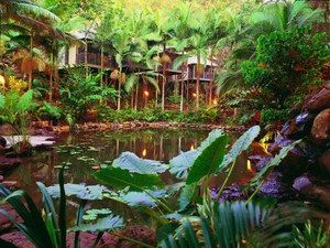 Daintree Eco Lodge & Spa - Foster Accommodation 0