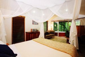 Daintree Eco Lodge & Spa - Foster Accommodation 1