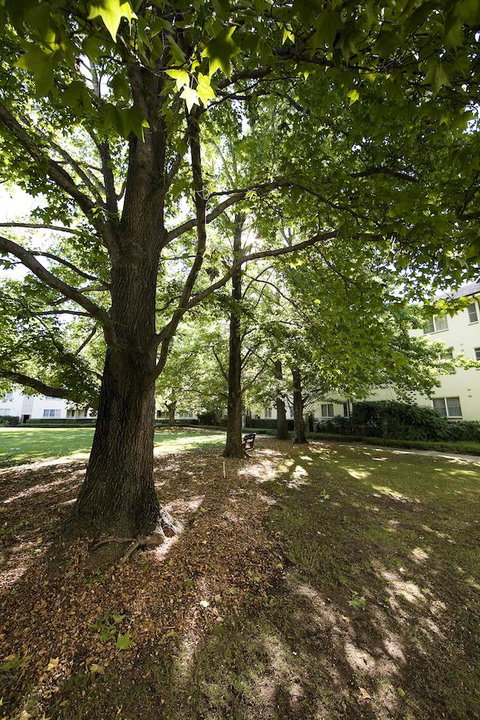 University House - ANU - Foster Accommodation 28
