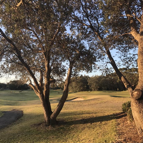 Bangalay Luxury Villas - Foster Accommodation 37