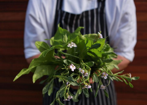 Bangalay Luxury Villas - Foster Accommodation 35