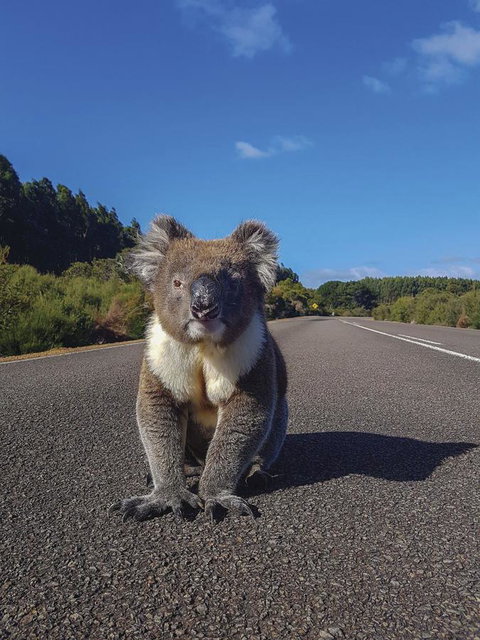 Kangaroo Island Seafront - Foster Accommodation 14