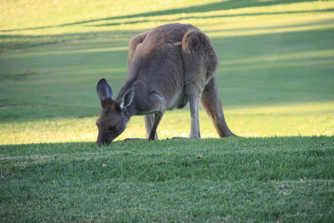 BreakFree Wirrina Cove - Foster Accommodation 24
