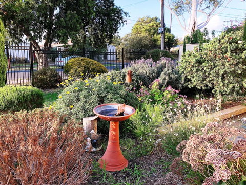 Beautiful Garden House - Foster Accommodation 21