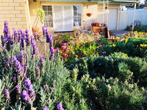 Beautiful Garden House - Foster Accommodation 9