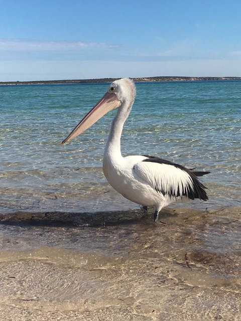 Sail & Anchor - Foster Accommodation 2