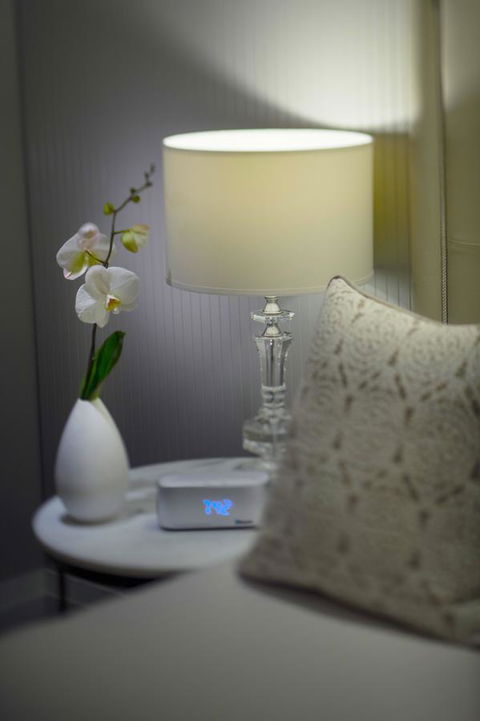 Mayfair Hotel - Foster Accommodation 13