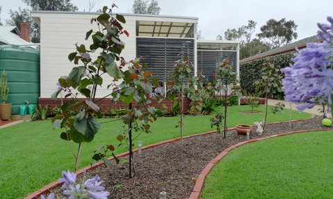 Grassmere House Magill - Foster Accommodation 19