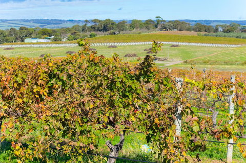 Sun & Surf Aldinga Beach Apartment - Foster Accommodation 15