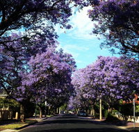 Monaco Court Apartment Adelaide - Foster Accommodation