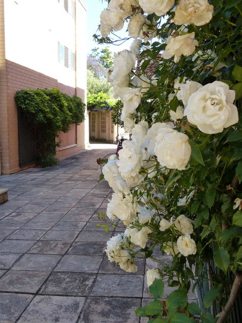 Monaco Court Apartment Adelaide - Foster Accommodation 19