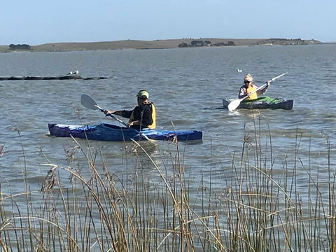 Hydeaway Bay - Own Private Bay + Kayaks - Foster Accommodation 30