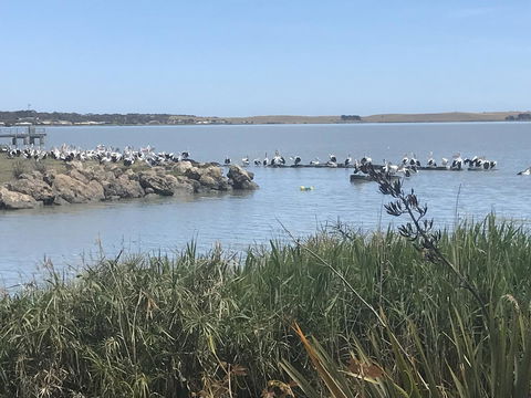 Hydeaway Bay - Own Private Bay + Kayaks - Foster Accommodation 34
