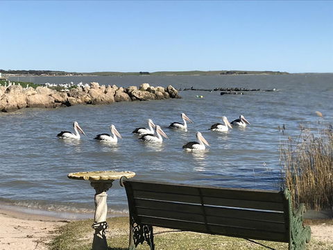Hydeaway Bay - Own Private Bay + Kayaks - Foster Accommodation 18