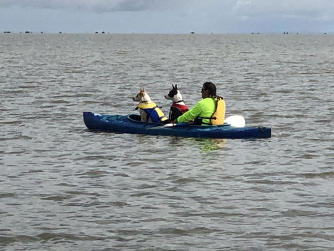 Hydeaway Bay - Own Private Bay + Kayaks - Foster Accommodation 31