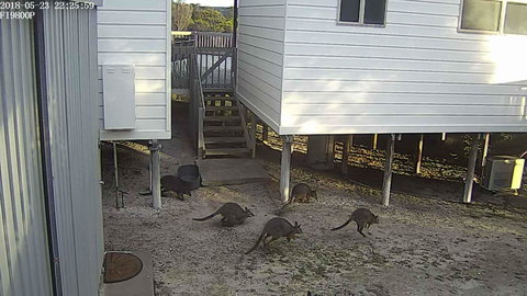 White Sands Holiday Retreat - Foster Accommodation 13