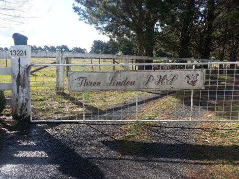 Three Linden - Foster Accommodation 6