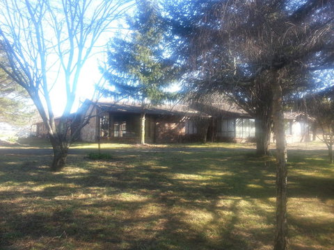 Three Linden - Foster Accommodation 5