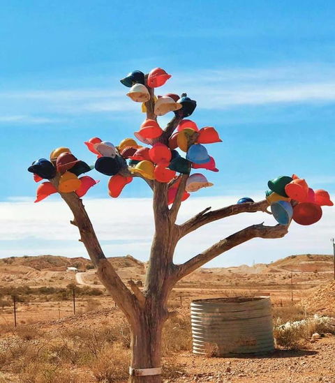 Aussie Opal Diggers Outback Retreat-Undergound - Foster Accommodation 29