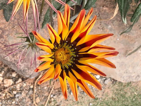 Aussie Opal Diggers Outback Retreat-Undergound - Foster Accommodation 26