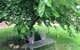 Amy\'s House Bed & Breakfast - thumb 22