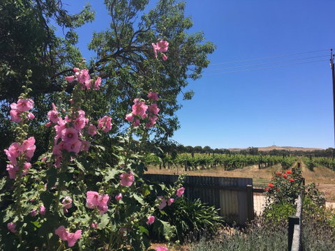 Amy\'s House Bed & Breakfast - Foster Accommodation 29