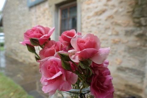 Amy\'s House Bed & Breakfast - Foster Accommodation 30