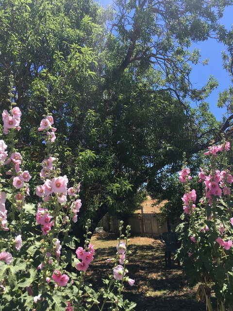 Amy\'s House Bed & Breakfast - Foster Accommodation 37