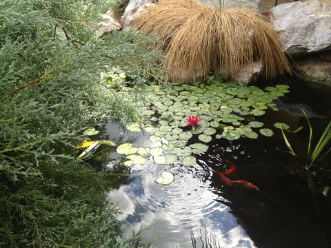 Ten Dollar Town Motel - Foster Accommodation 16