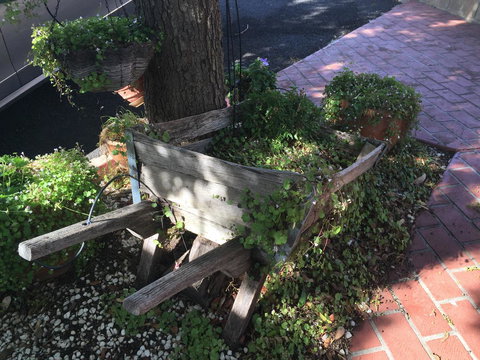 Ten Dollar Town Motel - Foster Accommodation 25