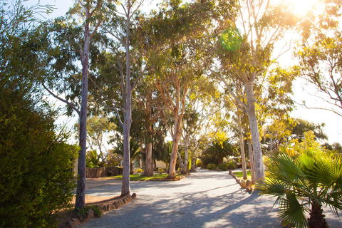 Modra\'s Apartments - Foster Accommodation 0