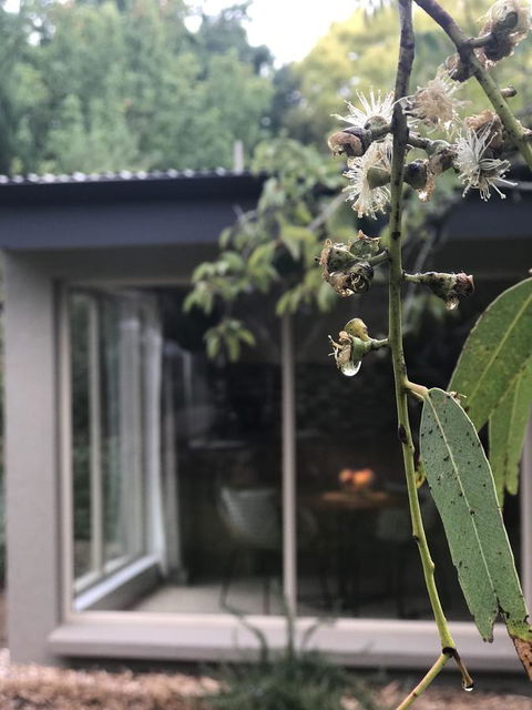 Adelaide Hills Retreats - Foster Accommodation 9