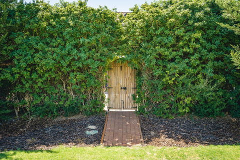 Mick O\'Sheas - Foster Accommodation 32
