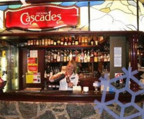 Snowy Gums Chalet - Foster Accommodation 10