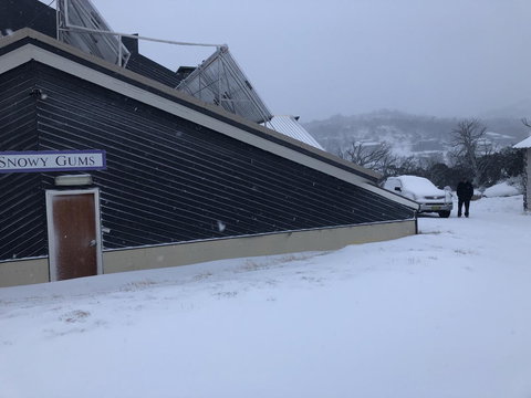 Snowy Gums Chalet - Foster Accommodation 1