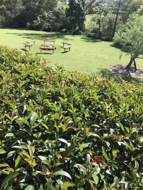 Avon View Stays Accommodation. - Foster Accommodation 10