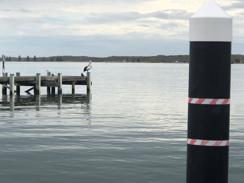 Goolwa Marinerâ€™s Cottage - Free Wifi And Pet Friendly - Centrally Located In Historic Region - Foster Accommodation 31