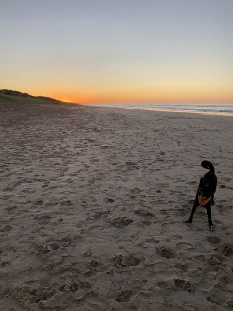 Goolwa Marinerâ€™s Cottage - Free Wifi And Pet Friendly - Centrally Located In Historic Region - Foster Accommodation 27